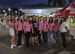 Conselho da Mulher Empresária participou de programação especial no mês de março 13 DSC_0054