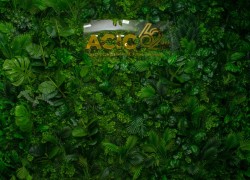 ACIC – 62 anos de histórias que inspiram o futuro. 269 NODINHA PRODUCOES