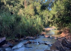 Descobrindo o Turismo em Cianorte: um convite à valorização do que é nosso. 17 WhatsApp Image 2025-05-26 at 10.06.10 (2)