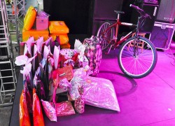 Feliz 1º de Maio 7 DSC_0345 cópia