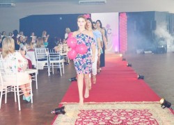 Conselho da Mulher Realizou Ações de Sensibilização Outubro Rosa 10 DSC_0755