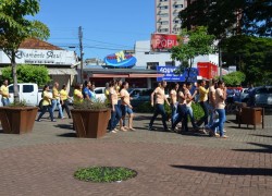 Contra a Corrupção e em Apoio a Lava Jato 32 DSC_0474