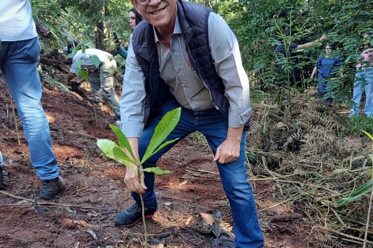 Plantio em celebração aos 25 anos do Parque Cinturão Verde ! 4
